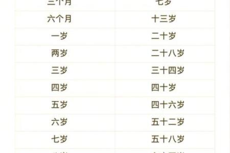 1999年属兔最佳结婚年龄