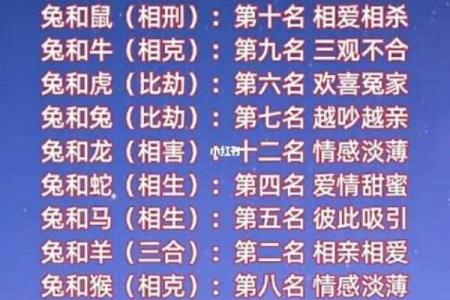99年属兔女的最佳结婚年龄,1999年属兔婚配男人