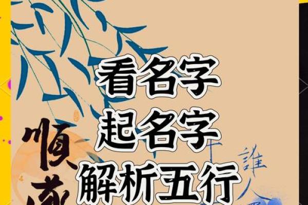 姓名五行测试打分免费测试