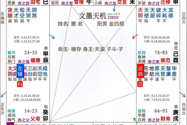 包含紫薇斗数七杀丙寅的词条