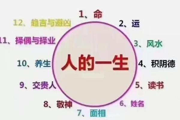 紫薇斗数父母职业