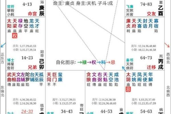 紫薇斗数看灾祸