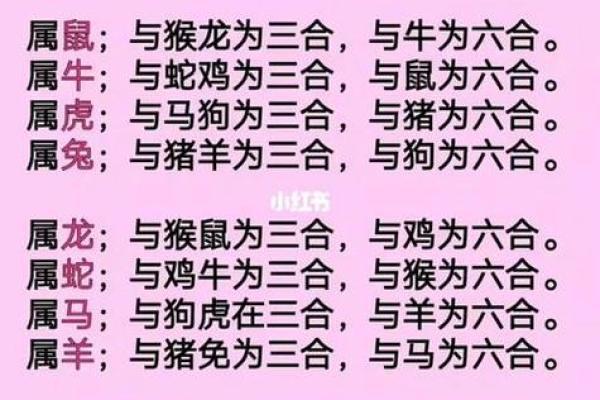 生肖配血型前途最远大TOP3