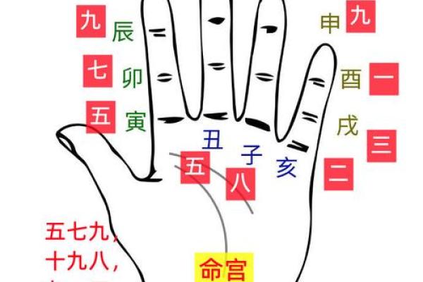 如何根据八字预测个人命运？