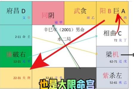 紫薇斗数看灾祸