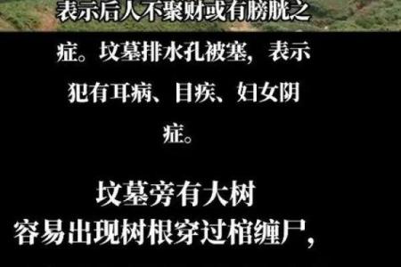 祖坟风水对后人有什么影响