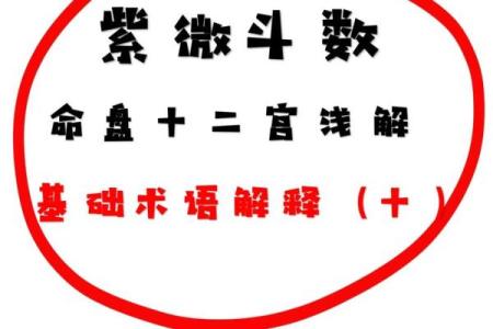 跟着AI学紫薇斗数，紫微星的四化的介绍