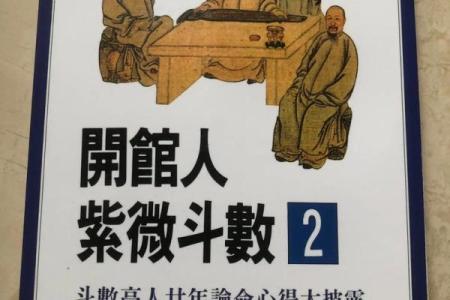 紫薇斗数丙丁生人