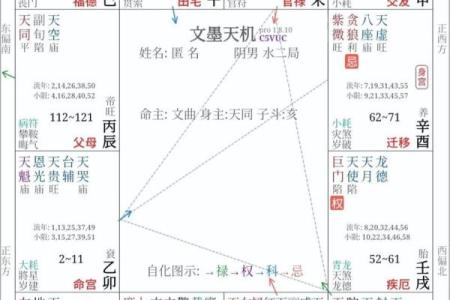 紫薇斗数看你何时生育