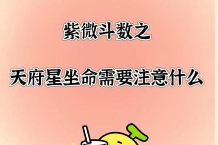 如何定紫薇星天府星