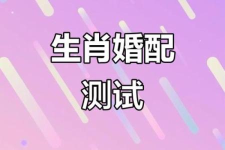 属龙女跟什么属相最配对