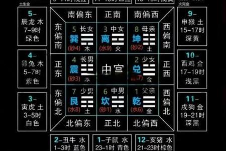 九星命理算命视频