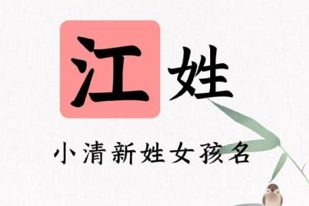 江姓女孩名字大全-江姓女孩起名字大全-江姓名字大全姓名