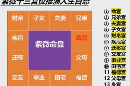 紫薇斗数紫薇在兄弟
