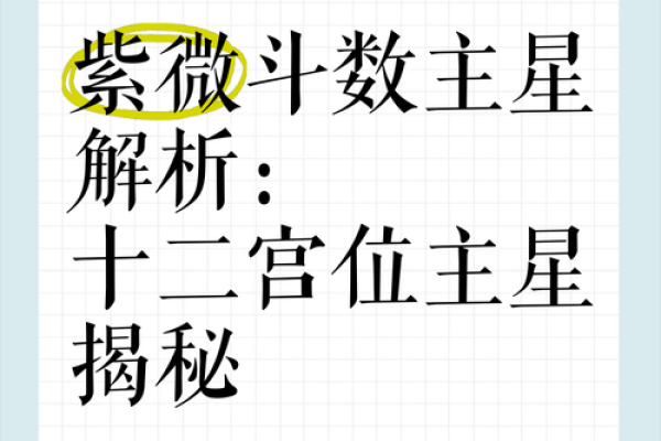 紫微斗数十四主星杂谈
