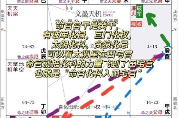 紫薇斗数地劫命宫