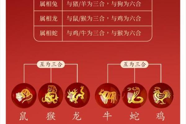 龙蛇生肖配对好吗 龙蛇相配吗