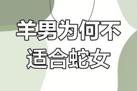 属相羊配对姻缘 属相羊婚配属相最好？
