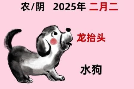 属狗出生最好六个吉日 属狗的出生吉日