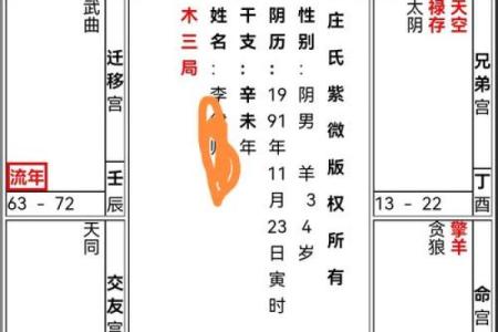 紫微斗数紫薇性格