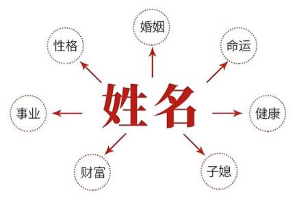 姓名学中五格代表的含意-姓名学-姓名分析姓名