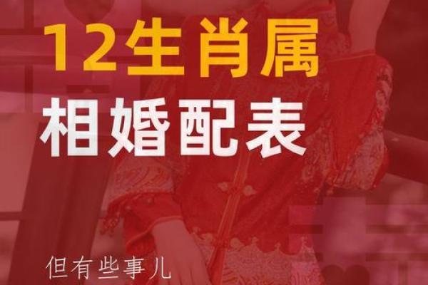 属相配对女性姻缘查询 属相婚姻配对十二生肖配对？