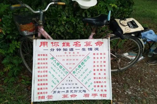 那种算命的牌叫什么