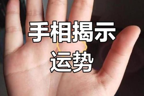 《手相学习百科》：命运线