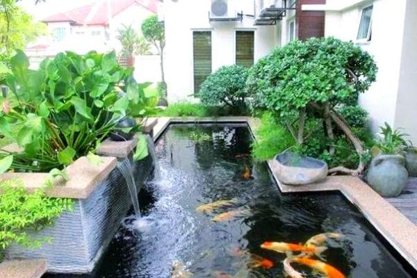 房子门口可以有鱼池吗风水