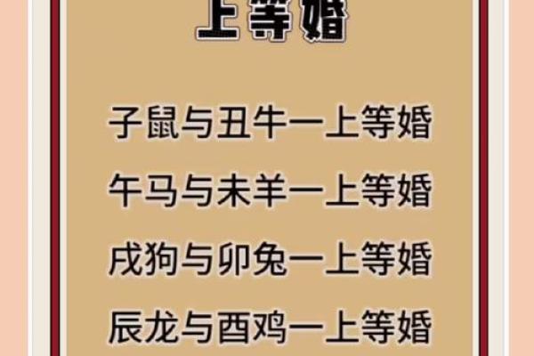 星座鼠和马配吗