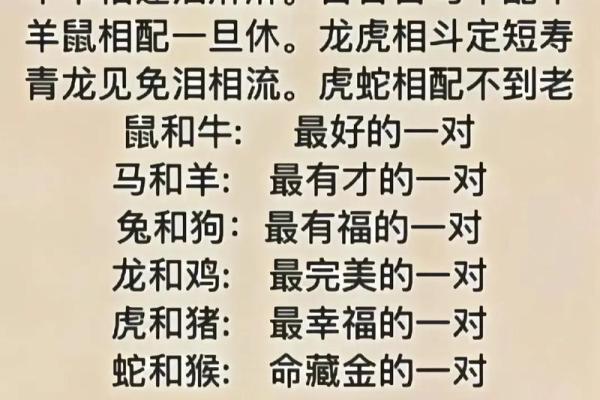 星座鼠和马配吗