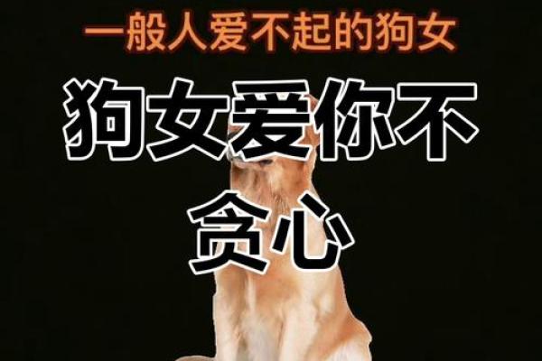 94年狗和94年狗是上等婚吗 两只94年生的狗配对算是高配婚姻吗