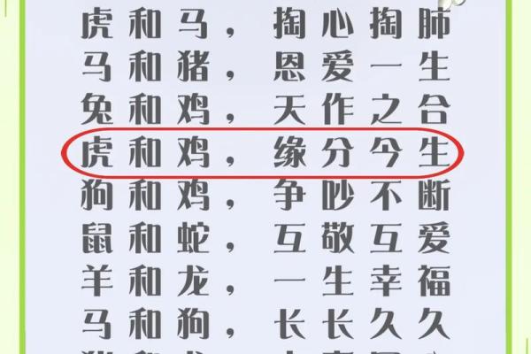 注定成为敌人的属相配对