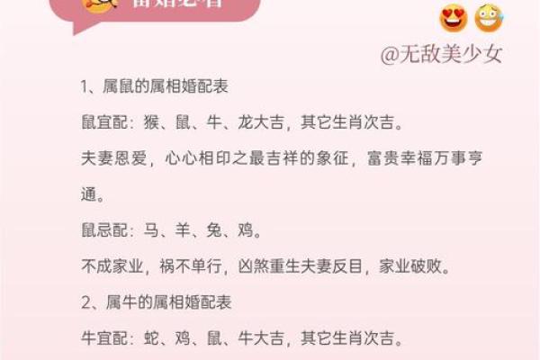 注定成为敌人的属相配对