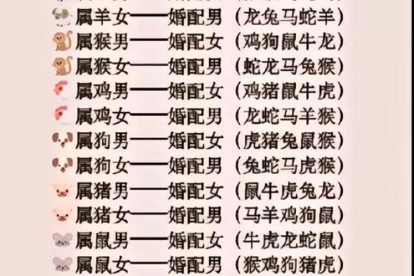 生肖属猴和属猪合吗 相合配对指数查询