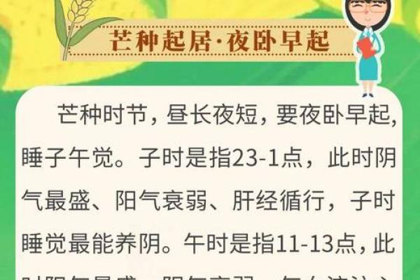 芒种节气的民俗活动 芒种节气小知识