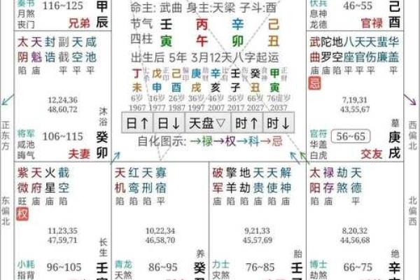 紫薇斗数能算什么