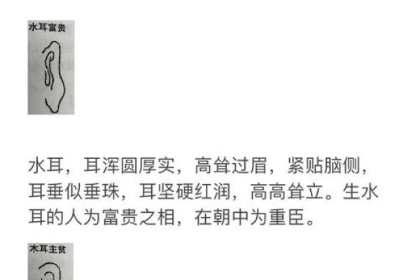 女孩十种福气耳朵图解面相风水