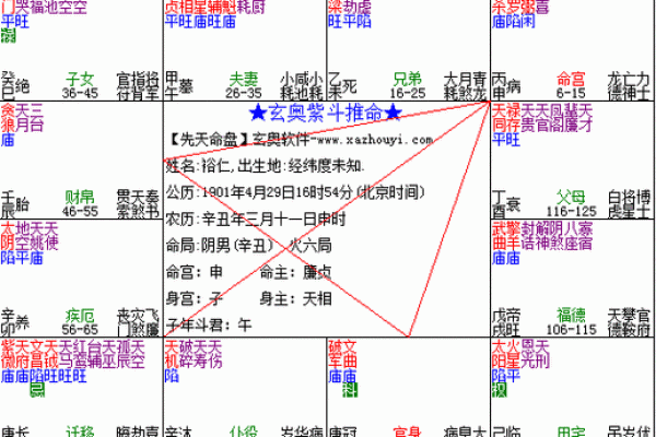 紫薇斗数看事业起色