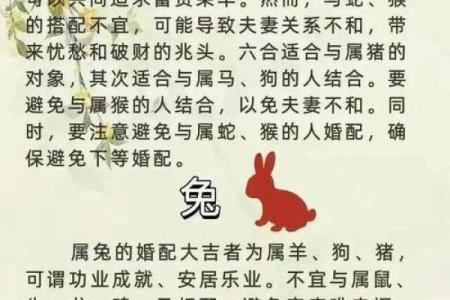 属相配对女性姻缘查询 属相婚姻配对十二生肖配对？
