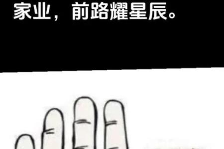 《手相学习百科》：命运线