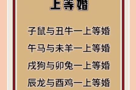 星座鼠和马配吗