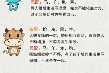 1988年属相是什么生肖配对