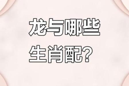 婚姻配对属龙和属马姻缘怎么样