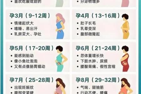 如何择生子吉日  孕妇必看的择日法则