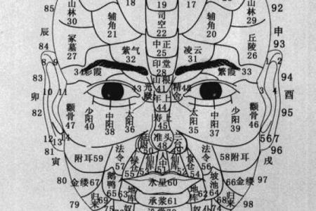 面相算命看法的特征,面相的基本看法