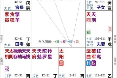 八卦与紫微斗数一样吗 紫微斗数跟八字哪个准？