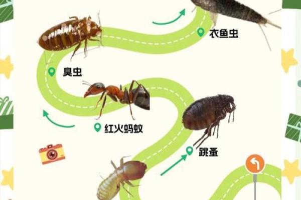 鼠在民间民俗的作用