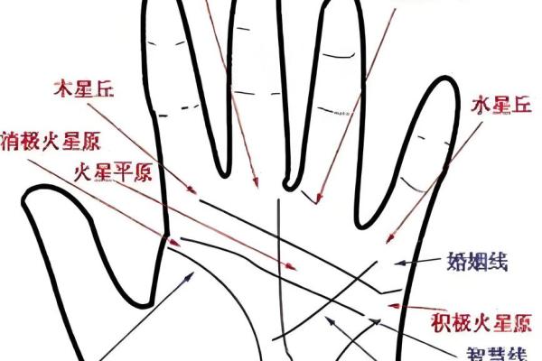 《手相学习百科》：手相重要辅线