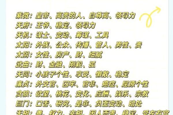 紫薇斗数定盘软件